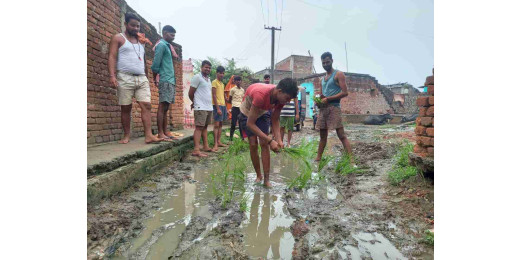 सड़क मरम्मत को लेकर किसानों का अनोखा विरोध, जर्जर सड़क पर बोया धान 